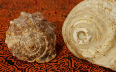 Die Spirale – Ausdruck der Lebensenergie