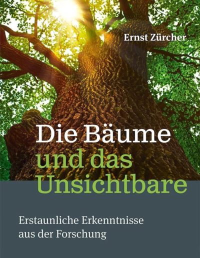 Die Bäume und das Unsichtbare - Erstaunliche Erkenntnisse aus der Forschung Ein Buch von Ernst Zürcher im atVerlag