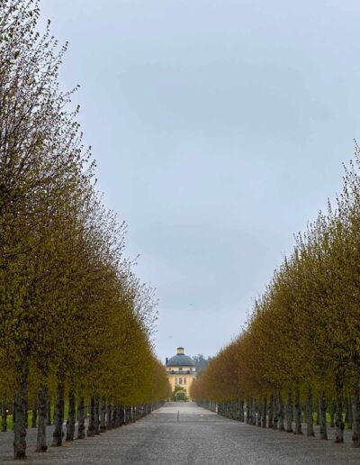 Allee im Schlosspark von Drottningholm
