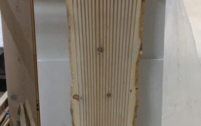 Arvenfächer